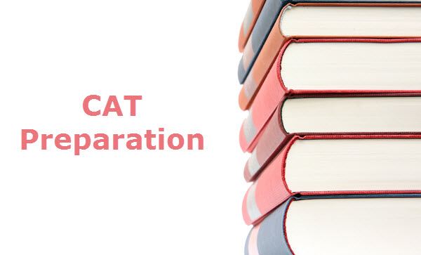 Cat Preparation Tips for Beginners